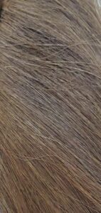 Genius Weft Color #4